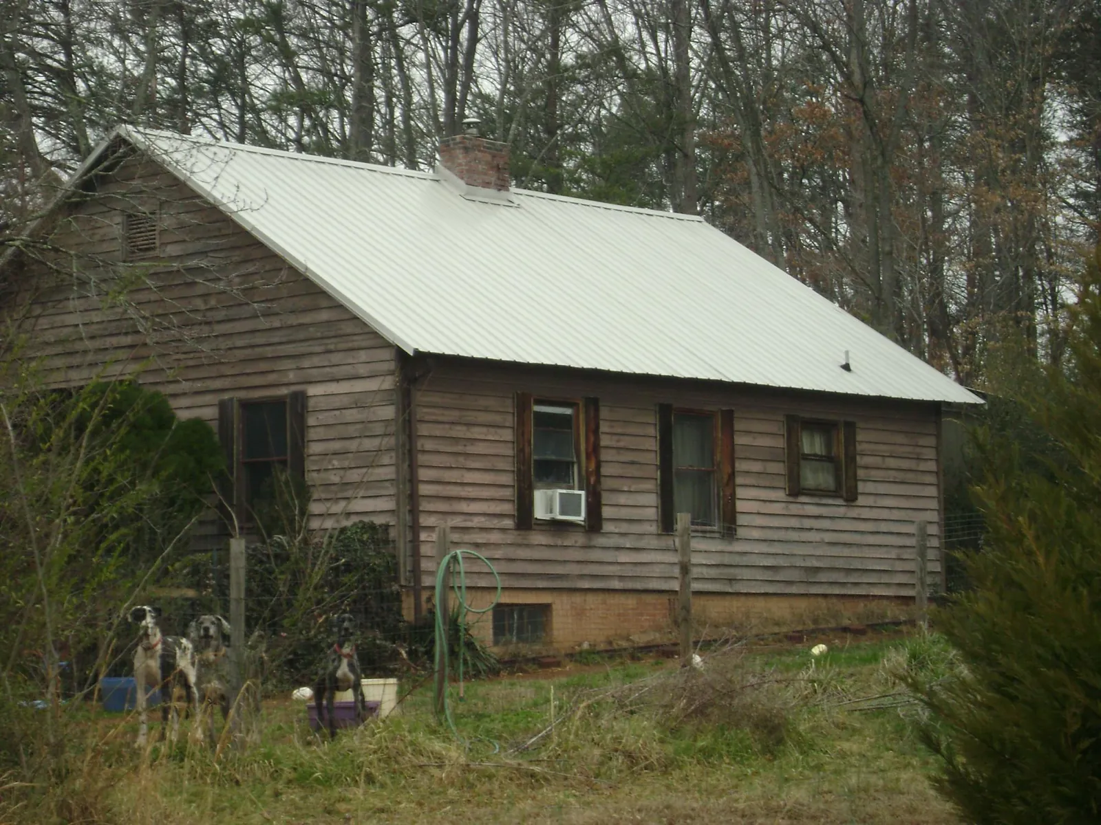 White metal roof on an old wood sided farmhouse, from a Asphalt Shingle Roof Repair job in Lake Panasoffkee